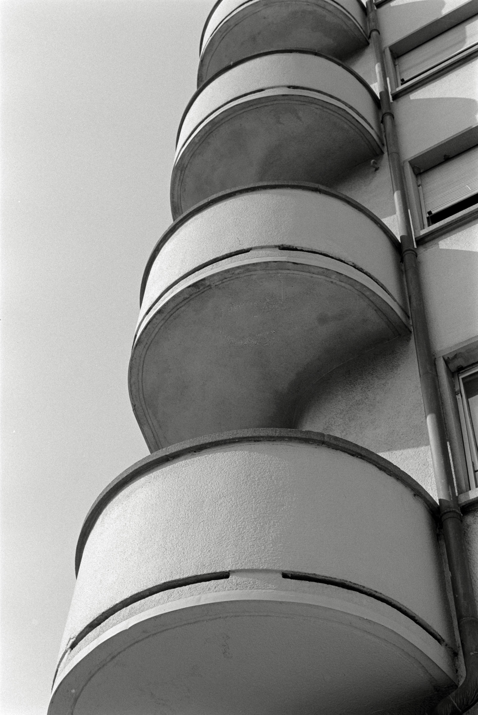 AHP F1993 04 002 sc240903 img22 NLP